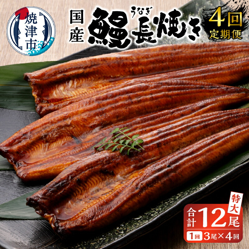 【ふるさと納税】【定期便 4回】 鰻 長焼 特大 3尾 国産 三河産 たれ付き 真空パック 冷凍 魚 焼津 b100-058