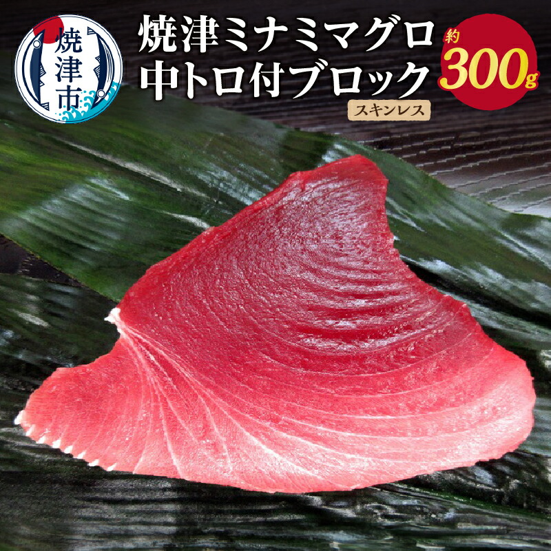 【ふるさと納税】 まぐろ ブロック ミナミマグロ 中トロ付ブロック スキンレス 約300g 天然 魚 冷凍 焼津 a11-049｜静岡県焼津市