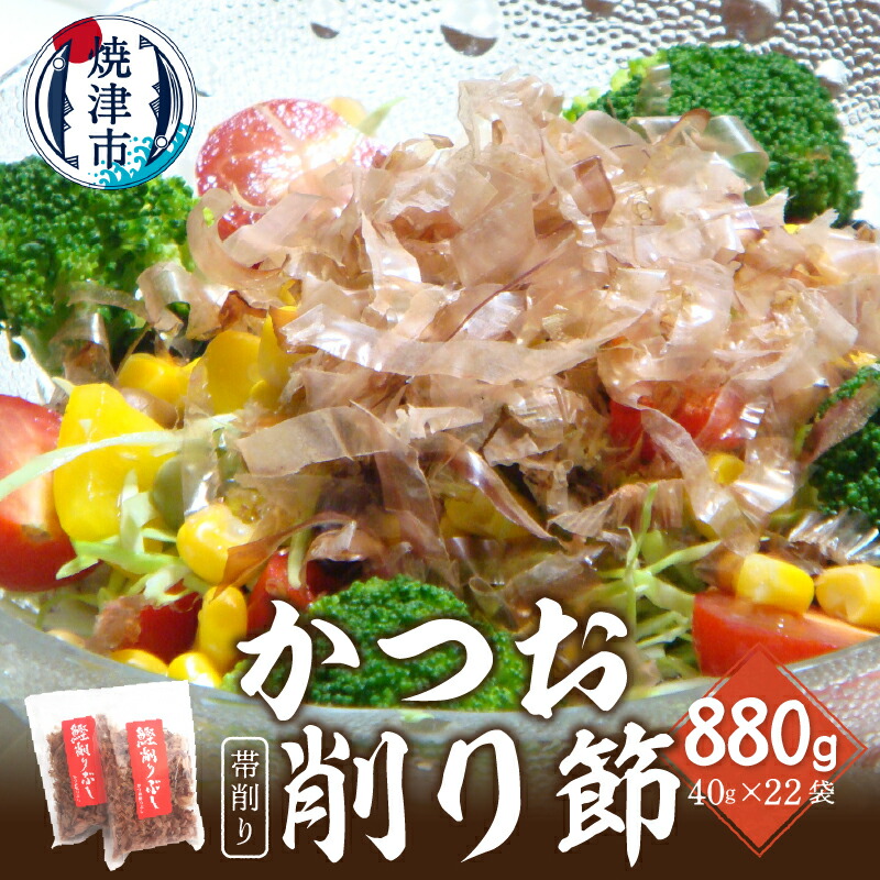 【ふるさと納税】 鰹節 削り節 帯削り 焼津産 40g入×22袋 加工品 だし a19-033