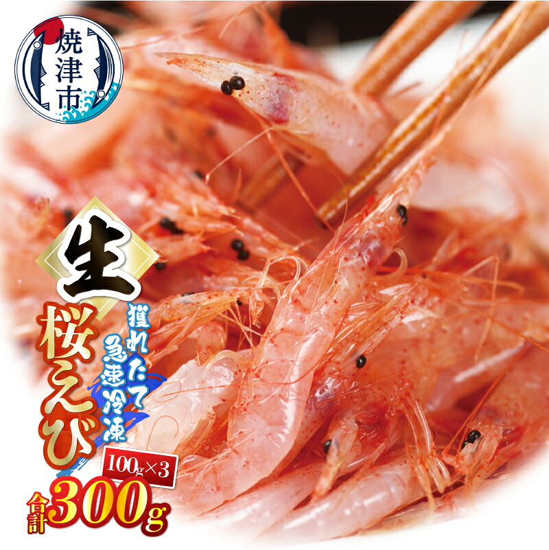 【ふるさと納税】 生桜えび 100g&times;3パック 合計300g 天然 新鮮 冷凍 焼津 a10-1249｜静岡県焼津市
