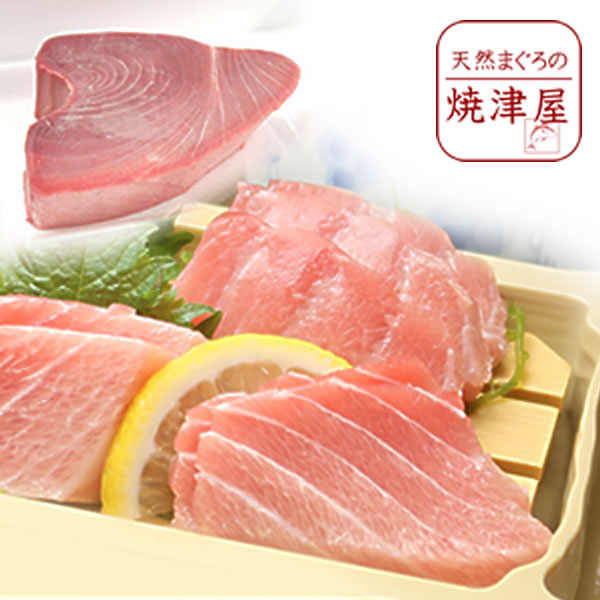 【ふるさと納税】 定期便 まぐろ 魚 冷凍 焼津 大トロ 中トロ ブロック 計800g 【定期便3回】 南鮪 ミナミマグロ b150-026