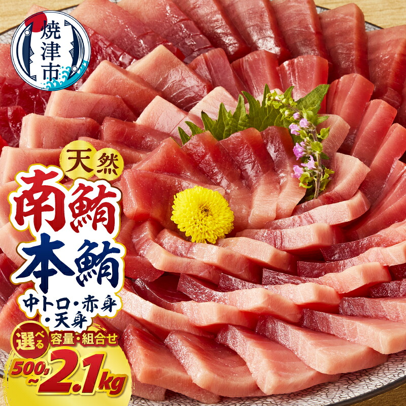 【楽天市場】【ふるさと納税】 マグロ 南マグロ 本マグロ 天然 【選べるお届け時期/種類】 南鮪 本鮪 まぐろ 鮪 赤身 中トロ 訳あり 正規品 刺身 切り落とし 柵 700g 1.4kg 2.1kg 食べ比べ 540g 720g 1080g 天身 500g 1kg 魚 冷凍 贅沢 高評価 a15-719:静岡県焼津市