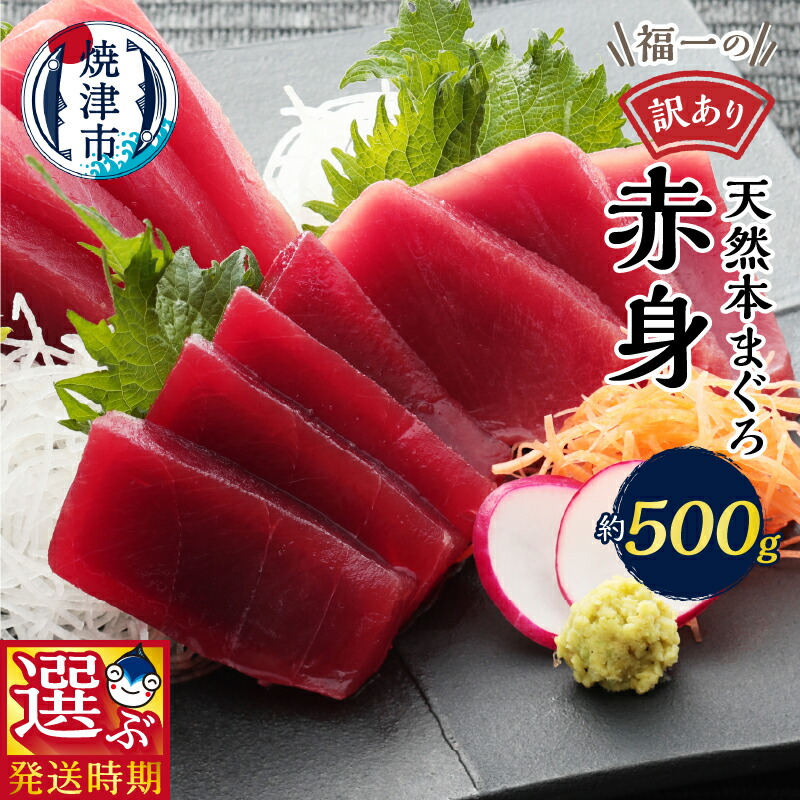 【ふるさと納税】 【発送時期が選べる】 訳あり まぐろ 刺身 天然 本マグロ 魚 冷凍 焼津 赤身 約500g 天身 選べるお届け月 ご自宅用 a10-1077
