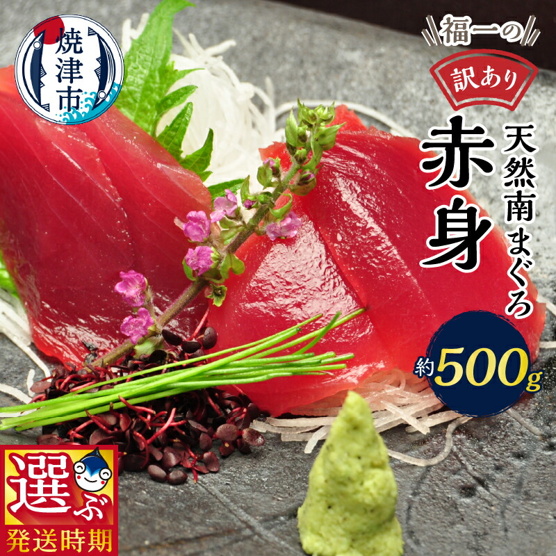 【ふるさと納税】 【発送時期が選べる】 訳あり まぐろ 刺身 天然 南マグロ 魚 冷凍 焼津 赤身 約500g 天身 選べるお届け月 ご自宅用 a10-1078