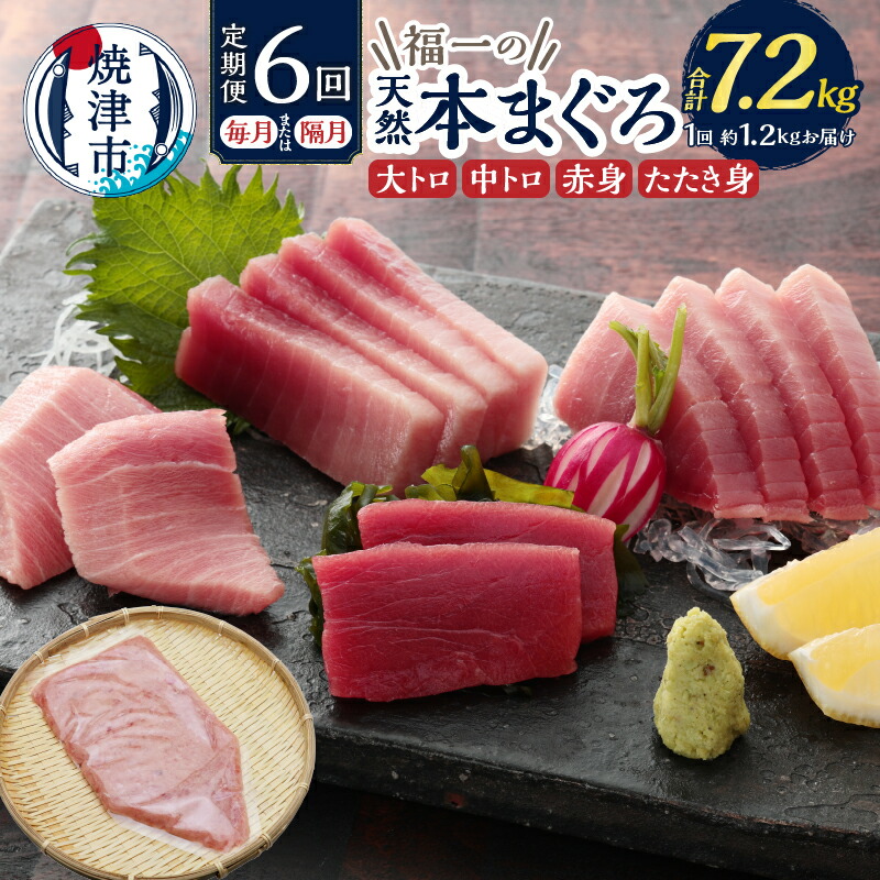 【ふるさと納税】 定期便 マグロ  大トロ 中トロ 天然本マグロ 冷凍 焼津 半年間お届けコース【定期便6回連続、隔月選べる】（b300-015）