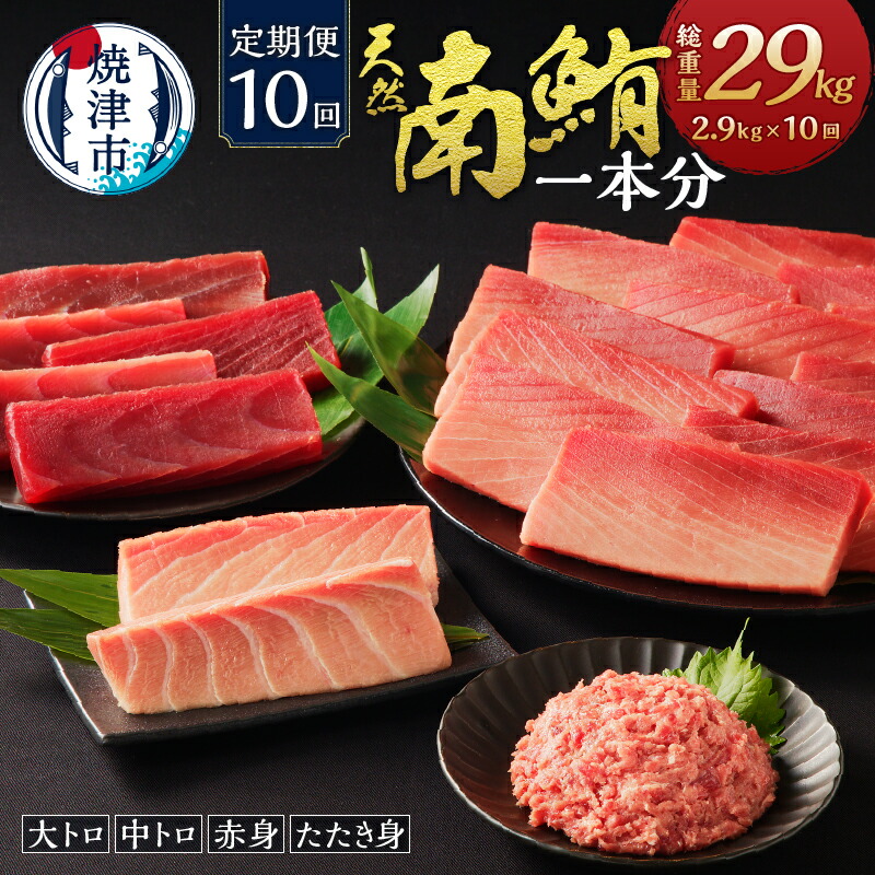 【ふるさと納税】 《 レビューキャンペーン 》 定期便 10回 マグロ まぐろ 鮪 セット 魚 冷凍 焼津 天然 ミナミマグロ 南鮪 各月 約2.9kg 大トロ 中トロ 赤身 たたき身 個包装 詰め合わせ m10-001