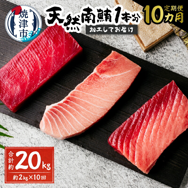 【ふるさと納税】 定期便 まぐろ 魚 冷凍 焼津 南鮪 大トロ 中トロ 赤身 まぐろたたき 切り落とし 計約2kg 【定期便10回】 天然南鮪1本分 刺身に 海鮮丼に b650-003
