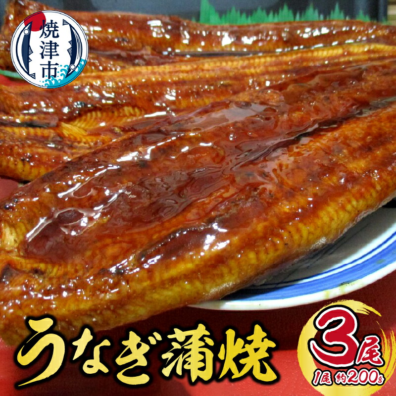 楽天市場】【ふるさと納税】 定期便 うなぎ 魚 冷凍 焼津 【定期便3回】 蒲焼き 5尾 たれ・山椒付き b10-043 : 静岡県焼津市