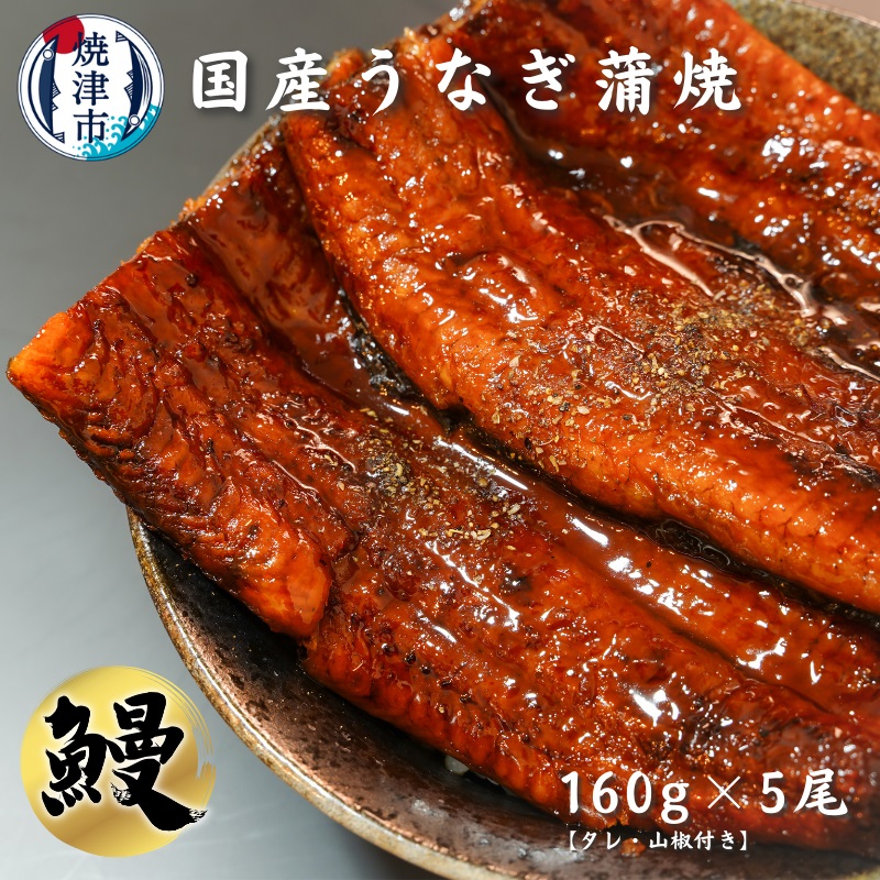 定期便 うなぎ 鰻 B10 043 蒲焼き 5尾 焼津 山椒付き 冷凍 たれ 魚