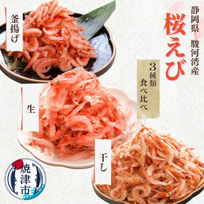 楽天市場】【ふるさと納税】 生しらす 刺身 しらす 魚 冷凍 天然 焼津 約100g×10パック 静岡県漁連 お刺身 a10-419 : 静岡県焼津市