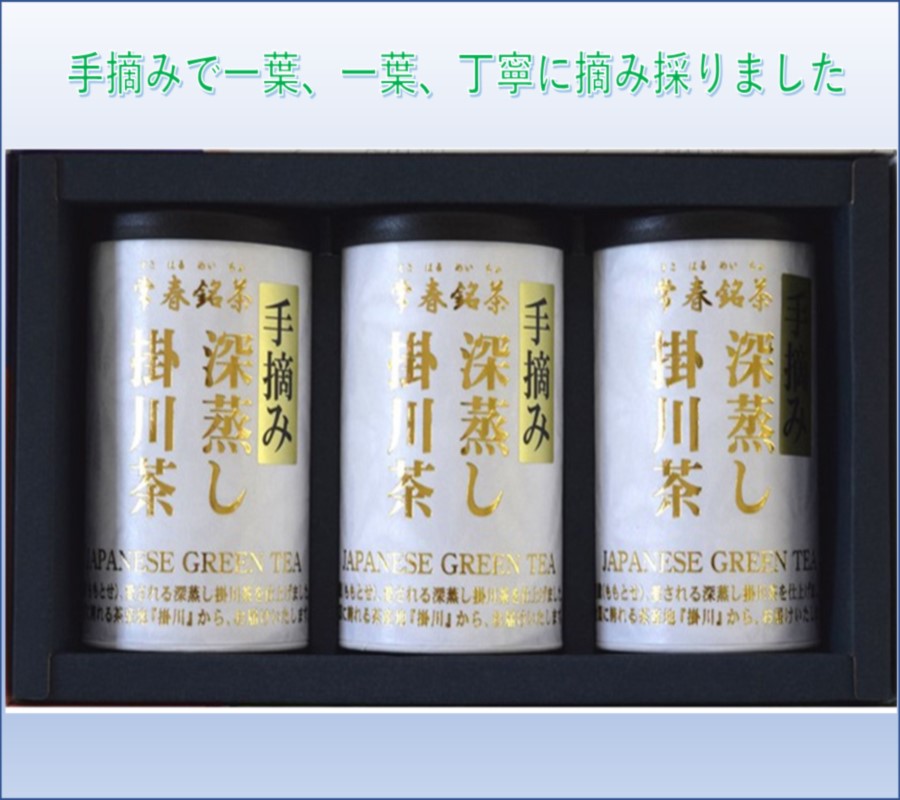 22新発 手摘み深蒸し掛川茶 100ｇ ３缶 銘茶 お茶 緑茶 煎茶 茶葉 静岡 掛川茶 Fucoa Cl