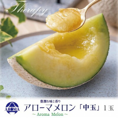 【ふるさと納税】【通年出荷】アローマメロン 白等級(中玉) 1玉入【配送不可地域:離島・北海道・沖縄県】【1170108】|静岡県掛川市