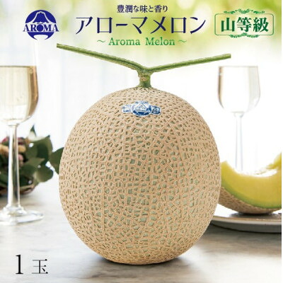 【ふるさと納税】【通年出荷】アローマメロン(山等級) 1玉入【品格溢れる高級品】【配送不可地域：離島・北海道・沖縄県】【1170113】｜静岡県掛川市
