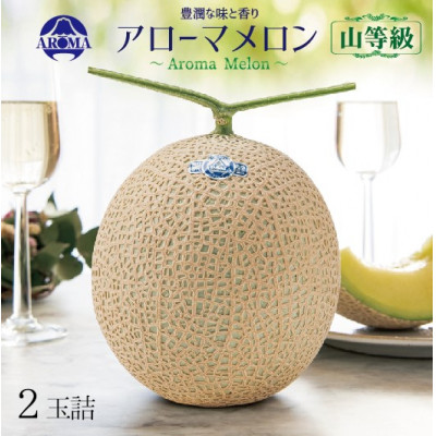 【ふるさと納税】【通年出荷】アローマメロン(山等級) 2玉入【品格溢れる高級品】【配送不可地域:離島・北海道・沖縄県】【1170114】