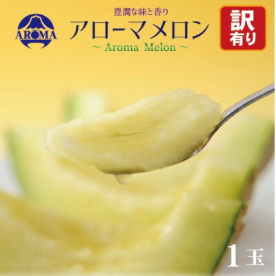 【ふるさと納税】【訳あり】アローマメロン 1玉入【通年出荷】【配送不可地域：離島・北海道・沖縄県】【1170117】