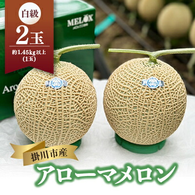 【ふるさと納税】静岡温室マスクメロン アローマ印 白級約1.45kg以上 2玉_ メロン マスクメロン めろん アローマメロン 果物 くだもの フルーツ デザート 産直 産地直送 静岡県 ギフト プレゼント 送料無料 【配送不可地域:離島・北海道・沖縄県】【1502264】