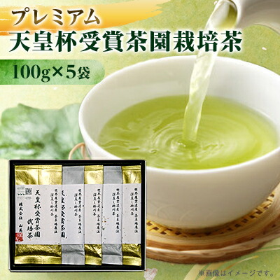 【ふるさと納税】【2026年先行予約】新茶　天皇杯受賞茶園栽培のプレミアム茶100g&times;5袋_ お茶 緑茶 煎茶 日本茶 深蒸し 茶葉 静岡茶 掛川茶 静岡県 掛川市 送料無料 【配送不可地域：離島・沖縄県】【1551501】｜静岡県掛川市