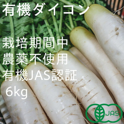 楽天市場】【ふるさと納税】＜2026年収穫分 先行予約＞大崎だいこん 1