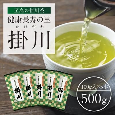 【ふるさと納税】特上深蒸し掛川茶「健康長寿の里 掛川」100g&times;5本セット【配送不可地域：離島・沖縄県】【1650540】｜静岡県掛川市