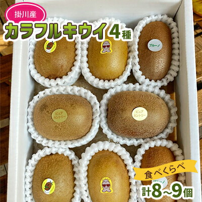 【ふるさと納税】掛川産カラフルキウイ4種8～9個セット期間限定 キウイフルーツカントリーJapan　5883【配送不可地域：離島・北海道・沖縄県・四国・九州】【1652671】｜静岡県掛川市