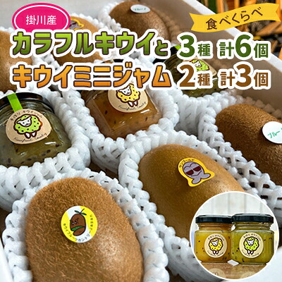 【ふるさと納税】掛川産 カラフルキウイ 3種6個と キウイミニジャム 3個セット キウイフルーツカントリー　5884【配送不可地域：離島・北海道・沖縄県・四国・九州】【1652676】｜静岡県掛川市 10,500円