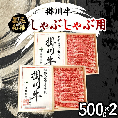 【ふるさと納税】掛川牛(黒毛和種)しゃぶしゃぶ用 500g×2(冷凍)【配送不可地域：離島・北海道・沖縄県・四国・九州】【1670597】