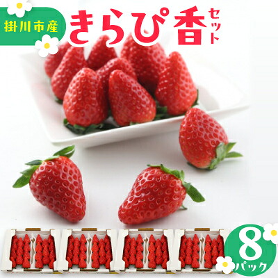 【ふるさと納税】きらぴ香セット(8パック　約2080g)　酸味は控えめで濃厚な甘さのおいしいいちご【配送不可地域：離島・北海道・沖縄県・四国・九州】【1676948】