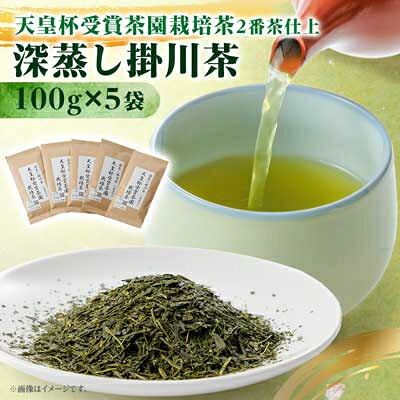 【ふるさと納税】天皇杯受賞茶園栽培茶2番茶仕上　深蒸し掛川茶100g&times;5袋【配送不可地域：離島・沖縄県】【1749863】｜静岡県掛川市