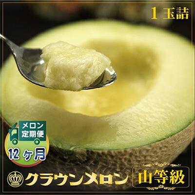 ふるさと納税】【毎月定期便】クラウンメロン(山等級) 1玉 全12回 