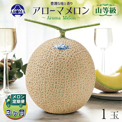 【ふるさと納税】【毎月定期便】アローマメロン(山等級) 1玉 全3回【配送不可地域：離島・北海道・沖縄県】【4012998】