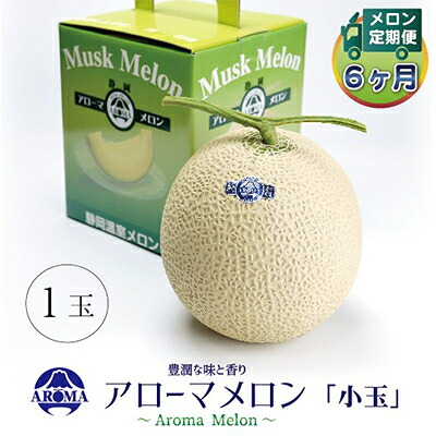 【ふるさと納税】【毎月定期便】アローマメロン(小玉) 1玉 全6回【配送不可地域:離島・北海道・沖縄県】【4013008】|静岡県掛川市