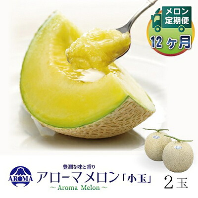 【ふるさと納税】【毎月定期便】アローマメロン(小玉) 2玉 全12回【配送不可地域：離島・北海道・沖縄県】【4013012】 136,000円