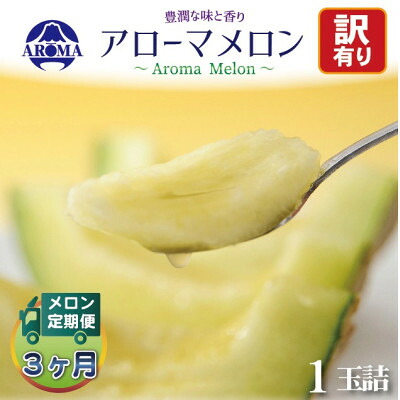 【ふるさと納税】【毎月定期便】訳ありアローマメロン 1玉 /全3回～12回_ メロン ブランドメロン 訳あり 1玉詰 定期便 マスクメロン アローマメロン 果物 フルーツ デザート 静岡県 掛川市 送料無料 【配送不可地域：離島・北海道・沖縄県】【G4013170】