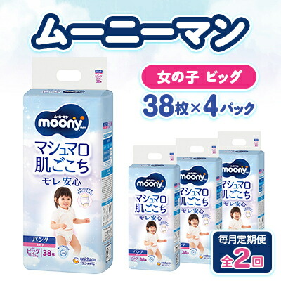 【ふるさと納税】【毎月定期便】ムーニーマン マシマロ肌ごこちモレ楽になること お嬢さん ビッグ 38枚×4容器に並べる全2回【送りとどける不可領域：離島・沖縄県】【4075527】