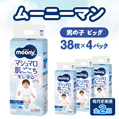 【ふるさと納税】【毎月定期便】ムーニーマン マシマロ肌ごこちモレ楽になること お坊っちゃん ビッグ 38枚×4容器に並べる全2回【送りとどける不可領域：離島・沖縄県】【4075528】