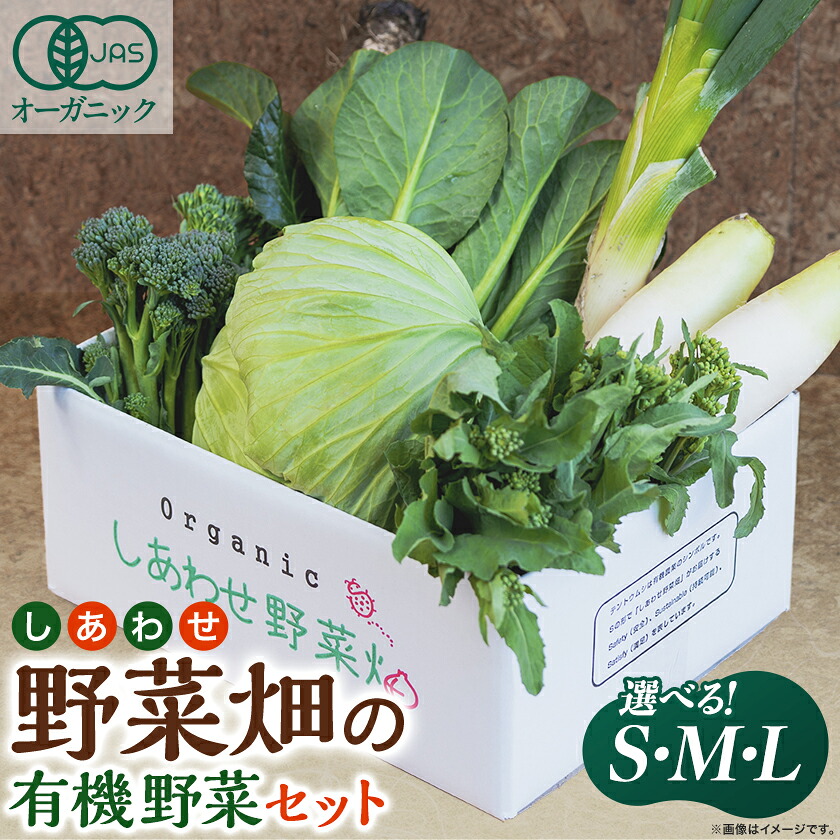 【ふるさと納税】しあわせ野菜畑の有機野菜　 (Lセット、Mセット、Sセット)_ 野菜 有機野菜 セット 人気 おすすめ 送料無料 冷蔵 オーガニック 有機JAS 【配送不可地域：離島・北海道・沖縄県・四国・九州】【G1493216】