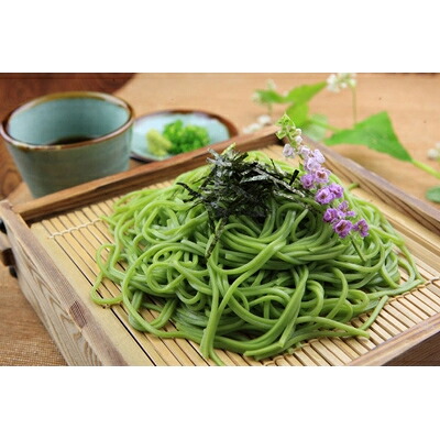 【ふるさと納税】掛川そねの生茶そば(つゆ付き)220g (約2人前)×4袋セット【配送不可地域：離島・北海道・沖縄県・四国・九州】【1119888】