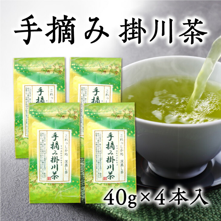 大きい割引 希少な手摘み掛川茶40ｇ×４袋セット〔お茶 緑茶 煎茶 茶葉 静岡 掛川茶〕 fucoa.cl