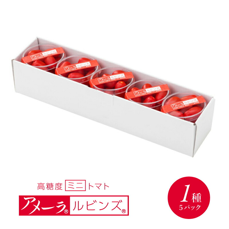 【ふるさと納税】  甘い ミニトマト アメーラルビンズ トマト 5パック 高糖度 10度 以上 化粧箱入り 産地 直送 新鮮 旬の 野菜 高級 フルーツトマト ジュース にも 静岡県 藤枝市