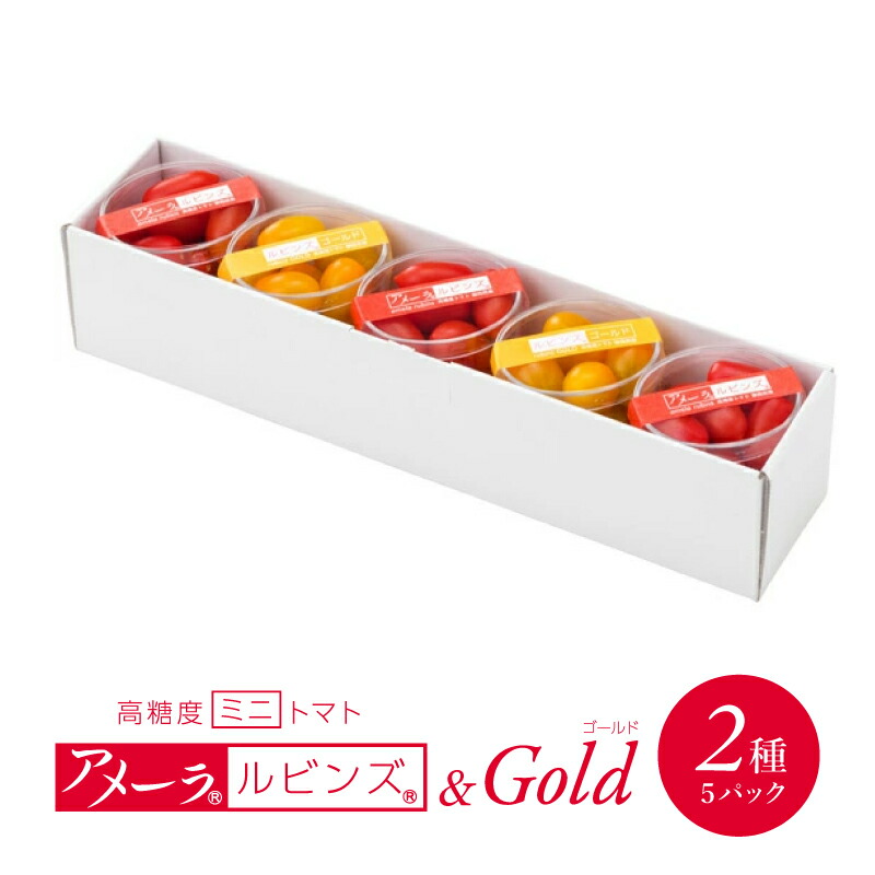 【ふるさと納税】  高糖度 ミニトマト アメーラルビンズ ゴールド トマト 5パック セット 糖度 10度 以上 化粧箱入り 産地 直送 新鮮 旬の 野菜 高級 フルーツトマト 甘い ジュース にも 静岡県 藤枝市