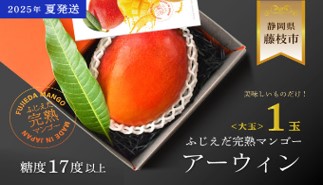 【ふるさと納税】 【2025 夏発送】 ふじえだ完熟 マンゴー「 アーウィン 大玉１玉 」糖度1７度以上 数量限定 果物 国産 フルーツ トロピカルフルーツ 静岡県 藤枝市 ふるさとおすすめ