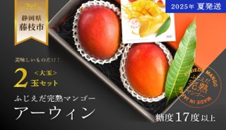 【ふるさと納税】 【2025 夏発送】 先行予約 ふじえだ 完熟 マンゴー「 アーウィン 大玉2玉」糖度1７度以上 数量限定 果物 国産 フルーツ トロピカルフルーツ 静岡県 藤枝市 ふるさとおすすめ