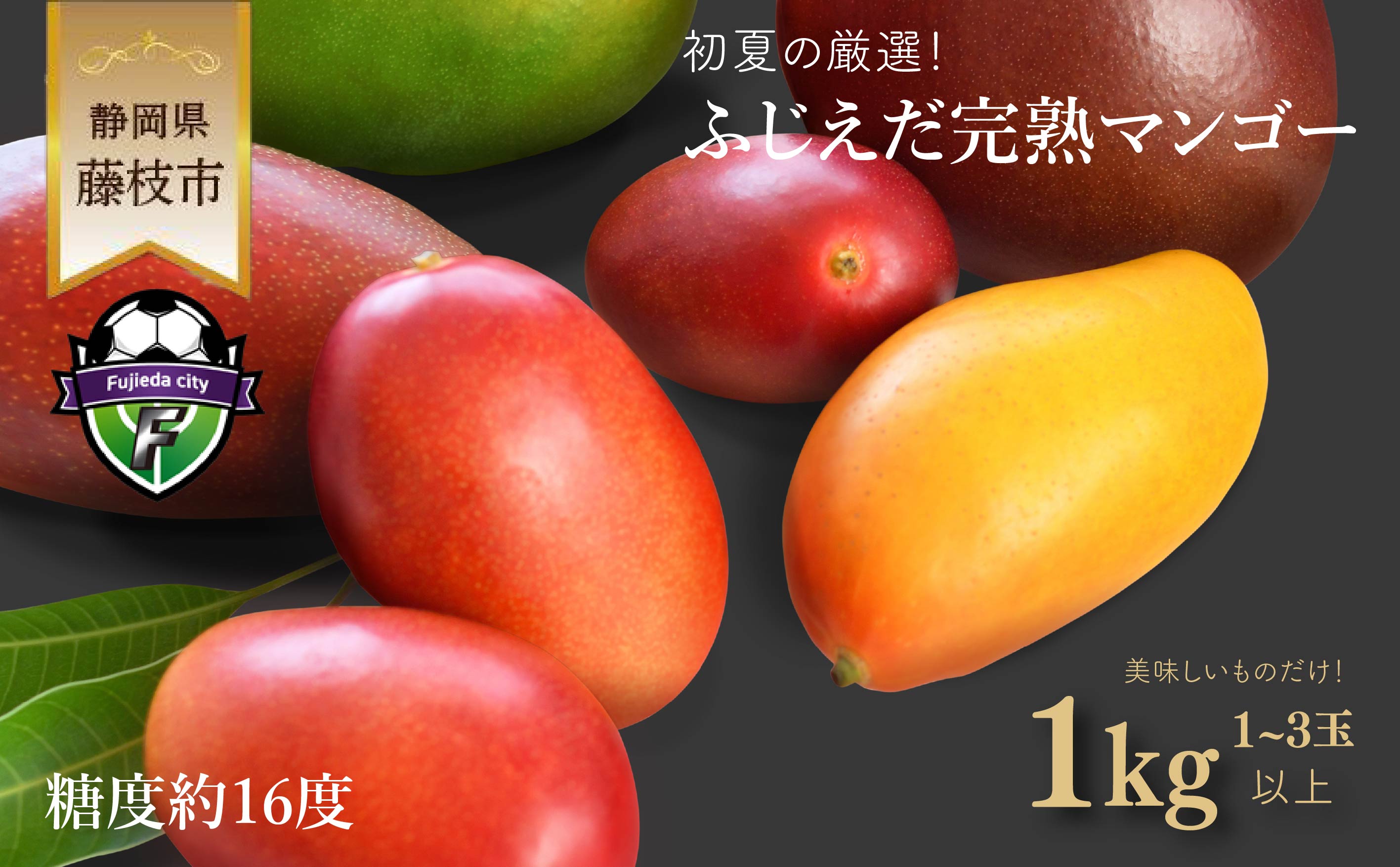 【ふるさと納税】 先行予約 完熟マンゴー 1kg 糖度約16度程 厳選 フルーツ 果物 国産 数量限定 フルーツ トロピカルフルーツ アーウィン マハチャノック ナンドクマイ 紅キンコウ キーツマンゴー 2026年6月より順次発送 静岡県 藤枝市