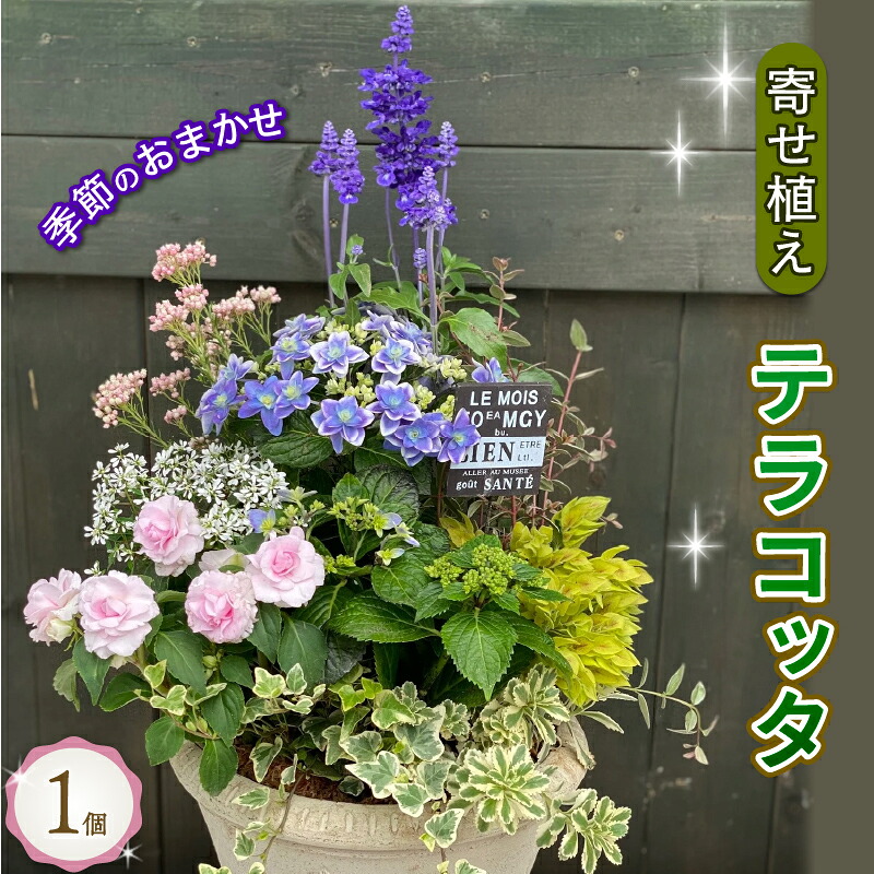 2026年父の日特集！