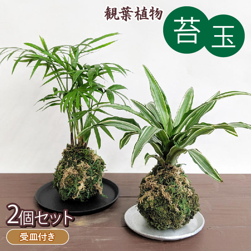 2026年父の日特集！