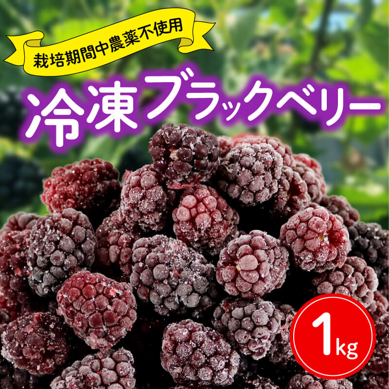 【ふるさと納税】 【先行予約：2025年6月末より発送予定】 ブラックベリー 1kg 冷凍 国産 フルーツ 果物 イチゴ いちご 苺 木苺 デザート スイーツ ジャム 手摘み 静岡県 藤枝市