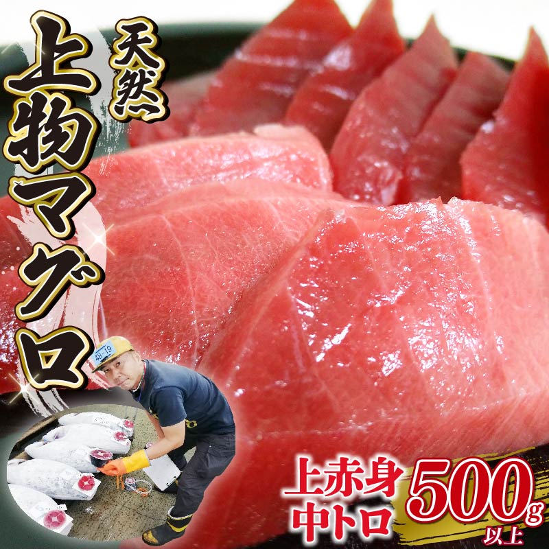 【ふるさと納税】 天然 上物 マグロ さく ( 上赤身 中トロ )セット  2種 計500g以上 冷凍 静岡県 藤枝市 福光