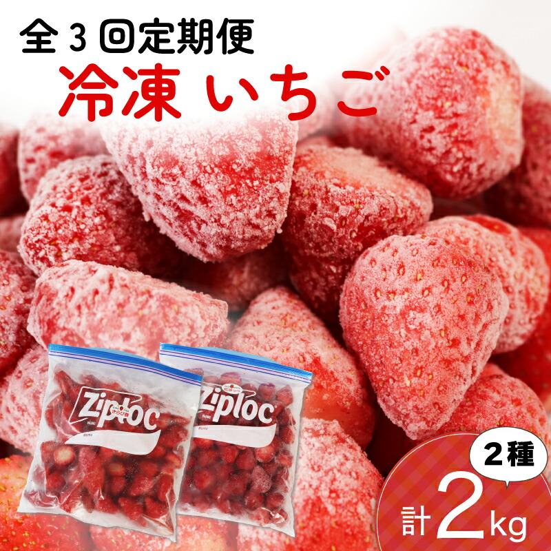 いちご 《業務用》 冷凍いちご 品種大きさ色々 14kg 栃木県産