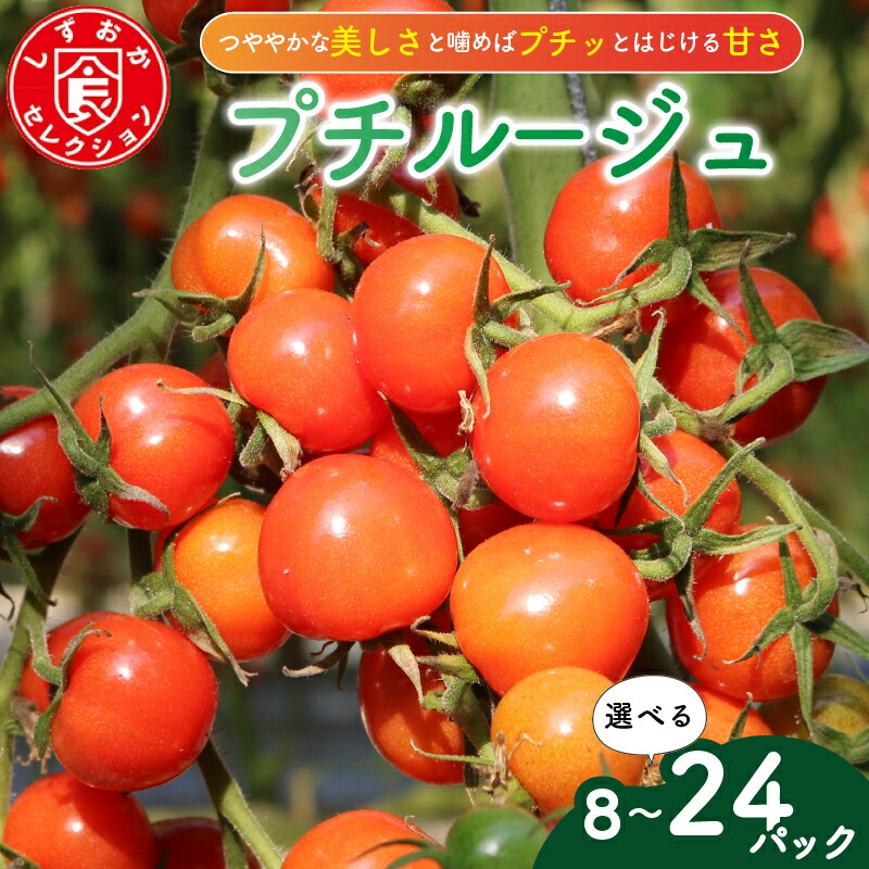 【ふるさと納税】 ミニ トマト プチルージュ 150g × 8 ～ 24 パック 野菜 やさい 新鮮 旬の野菜 産地直送 高糖度 甘い プチ フルーツ ソース ジュース ケチャップ に 静岡県 藤枝市
