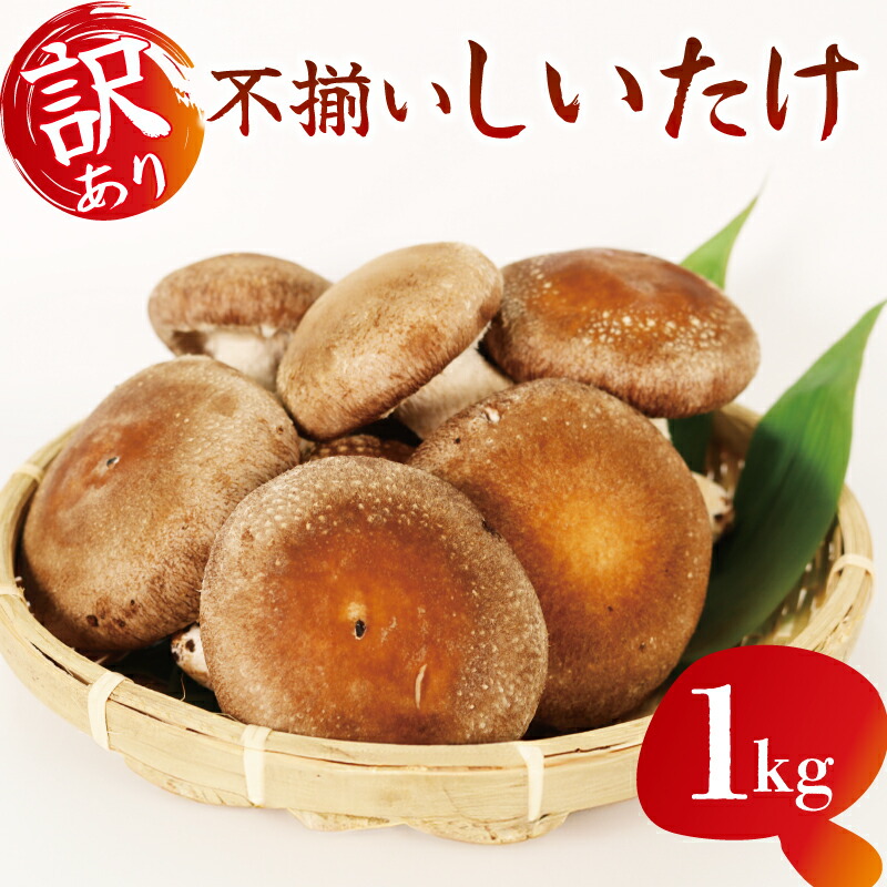 【ふるさと納税】 訳あり 不揃い 生しいたけ 1kg 生 しいたけ シイタケ 椎茸 大ぶり 食べ応え 厚い 肉厚 うまみ